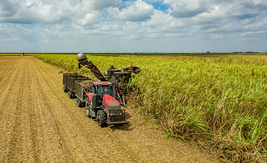 The Florida Crystals Difference