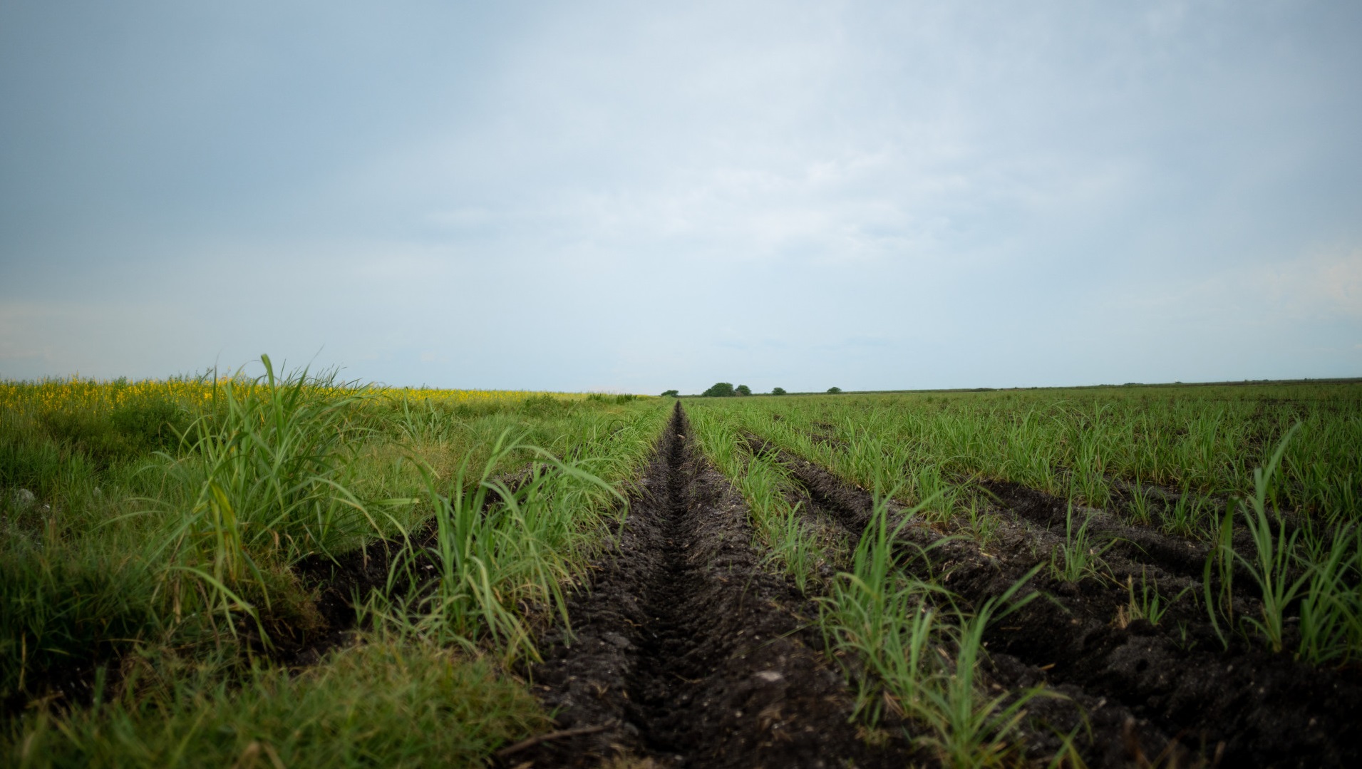 How We Are Making a Difference