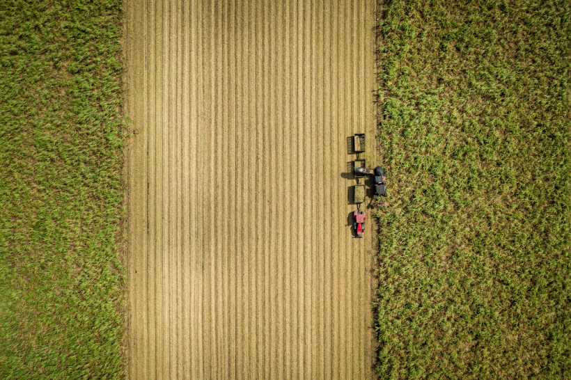 Growing Hope For A Greener Future